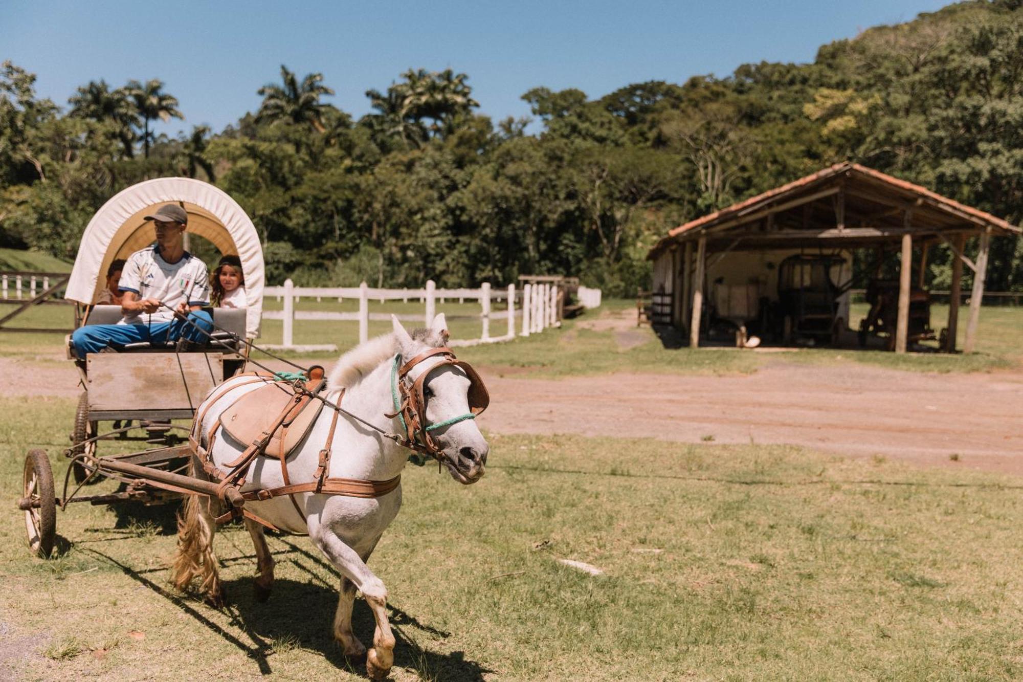 אנז'ניירו פאסוס Resort Fazenda 3 Pinheiros מראה חיצוני תמונה