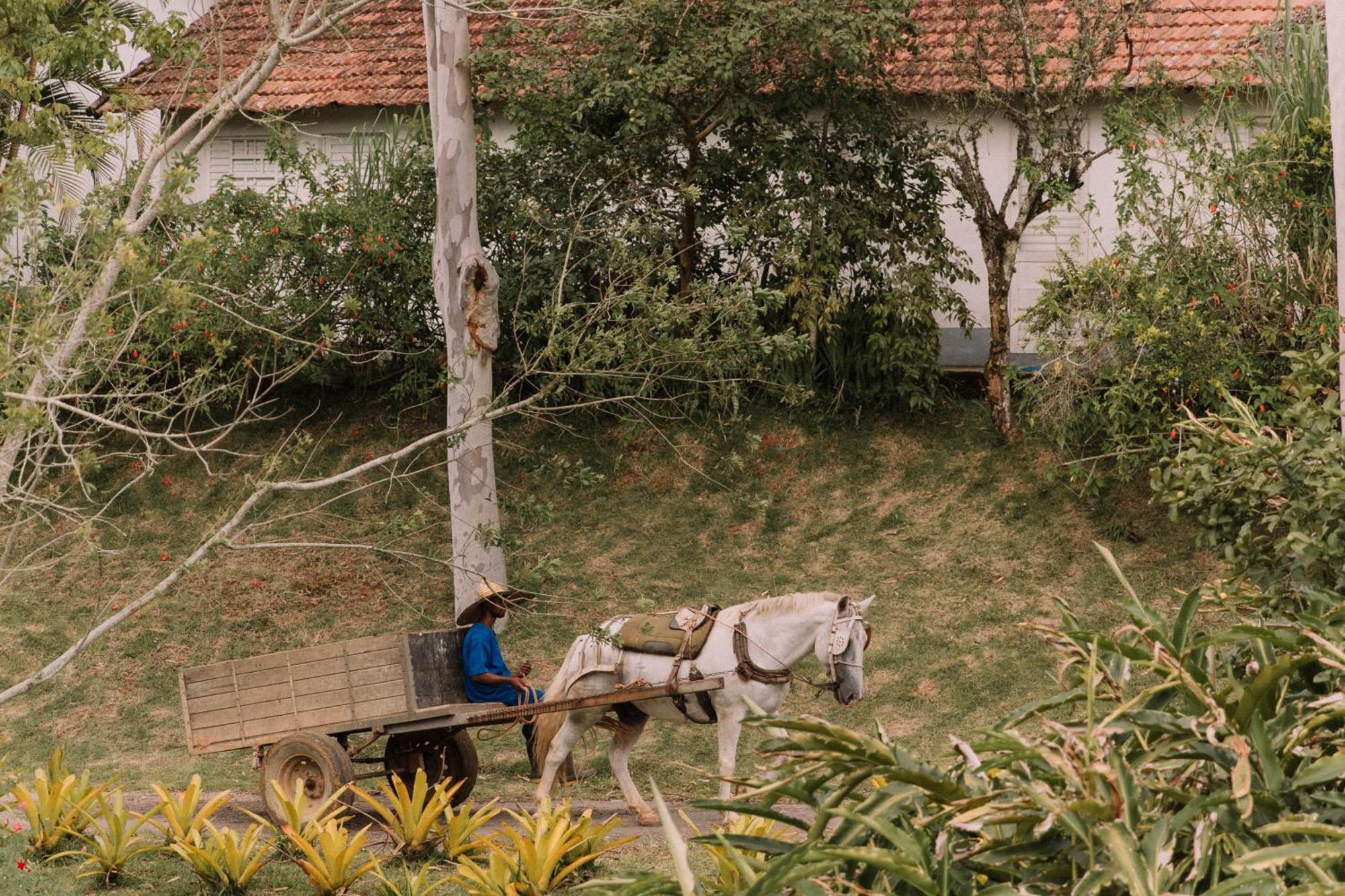 אנז'ניירו פאסוס Resort Fazenda 3 Pinheiros מראה חיצוני תמונה