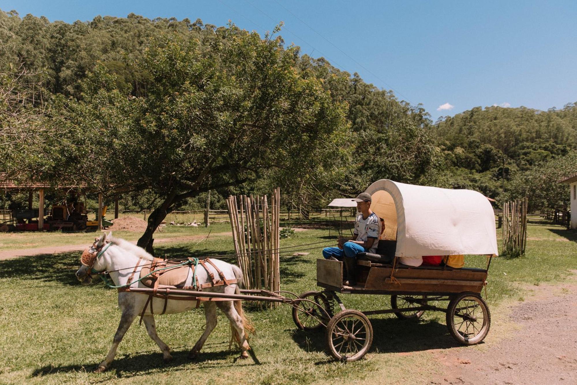 אנז'ניירו פאסוס Resort Fazenda 3 Pinheiros מראה חיצוני תמונה